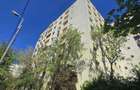 3 camere - Teiul Doamnei - Otesani - 6