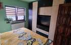 Apartament 3 camere Brazda lui Novac - 8