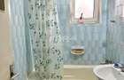 Apartament cu 2 camere de inchiriat ultracentral, pet friendly - 5
