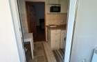 Inchiriez apartament 1 camera la curte comuna zona Elisabetin