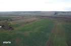 Teren Albesti, Vaslui, ID: R2893960 - 8