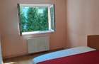 Apartament luminos 3 camere Brasov, Astra - 7