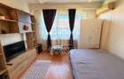 Garsoniera | 17 mp | Mobilata si utilata | Buziasului | 29.500 euro - 2