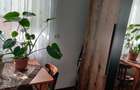 Casa si spatiu comenrcial de vazare - 5