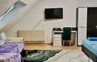 Apartament 1 camera, zona Porii - 1