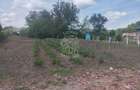 Teren 701 mp-ideal investitie, cabana, gradina-Slatinita - 2
