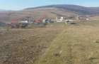 Super oferta! Teren extravilan, Piatra Neam? - 10