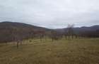 Teren intravilan si extravilan Luncoiu de Jos - 17