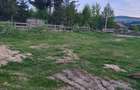 Teren de 1700 mp, în Gilău - 1
