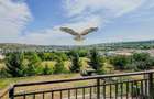 Apartament modern cu 1 cameră situat pe Str Gaudi/Borhanci - 13