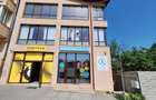 Spatiu Comercial Multifunctional Banat-CLASA A - 2