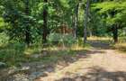 Teren intravilan 988mp | Cocani, Dambovi?a