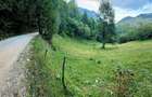 Teren investitie 8635 mp extravilan , Pestera Brasov - 2