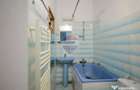 Casa de vanzare cu 4 camere - Santaul Mare, comuna Bor... - 2