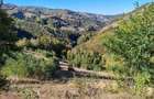 Oportunitate investitie la 35 km de Brasov