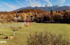 Teren 15.941 mp Moieciu | parcelabil | aproape de Castelul Bran