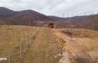 Teren cu suprafa?a de 5100mp amplasat intr-o zona superba de munte - 4