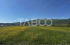 Teren de vanzare cu suprafata de 3000 mp in Poplaca zona industriala - 1