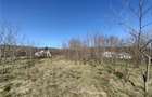 Oravita, Teren Intravilan, 3,8 Euro MP, In Oras, Usor Negociabil - 2