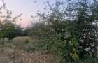 TEREN INTRAVILAN DE VANZARE ROBANE?TI, DOLJ | 5.000 MP