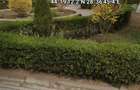 Vand apartament doua camere decomandate - 3