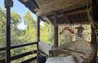 Casa P+M, 777 mp teren, Breasta - 14