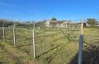 Exclusivitate-Vadu, zona centrala, casa 75mp, teren 1917 mp/31ml deschidere - 36