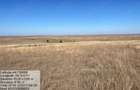 Vanzare Inchiriere teren pa?une 59 Ha-Ideal Parc Energetic
