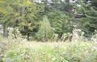 Busteni-Teren de vanzare cu o panorama superba - 2