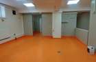 Basarabia-Chisinau, depozitare/birouri/activitati recreative, 100 m.p. - 9