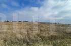 Teren intravilan de vanzare in Carcea, 27.236 mp, front stradal 80 ml