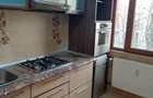 3 camere Brancoveanu Izvorul Crisului - 5