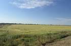 Teren 10 hectare pretabil pt panouri solare-Aricesti Rahtivani - 6