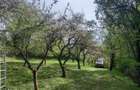 Teren de vanzare extravilan Cisnadioara/Rasinari - 2