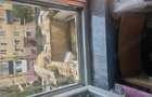 Vand apartament 2 camere plus bucatarie - 6