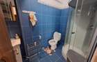 Penthouse 3 camere terasa 58 mp si parcare Doamna Stanca