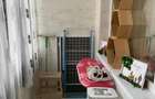 Apartament 2 camere semidecomdat parter, 55 mp, Bals - 17
