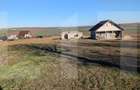 Teren intravilan de vanzare, 2000 mp, Cristesti-Botosani - 3