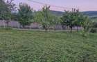 Teren Tomesti-Chicerea Urgent - 10