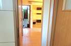 INEL 2 APARTAMENT 2 CAMERE DECOMANDATE 56 MP. RENOVAT PRET 85.000 EURO - 10