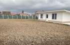 Casă cu Teren 1000 Mp în Sălard - 6
