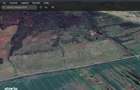 Lot compact 18,57 HA , vita de vie nobila pe rod - 5