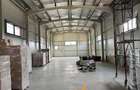 CUG , SPATIU COMERCIAL 300 MP + 2000 MP CURTE - 5