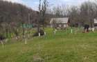 Coliba plus 2 hectare de pamant - 1