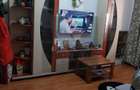 2 CAMERE PARTER CURTE PROPRIE/PRELUNGIREA FERENTARI - 8