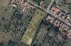 Teren intravilan 6.537 mp la asfalt, aproape de Lacul Surduc Bucovat (Dumbrava) - 3