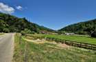Oportunitate investitie resort/complex /pensiune ,Plaiul Foii Zarnesti