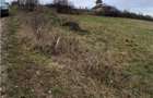 RECO Teren intravilan dublu front stradal- Betfia - 3