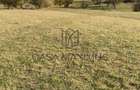 O oportunitate care îți atinge sufletul: Teren de vis la ieșirea din Rășinari