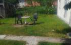 Casa de vanzare jud Bihor - 1